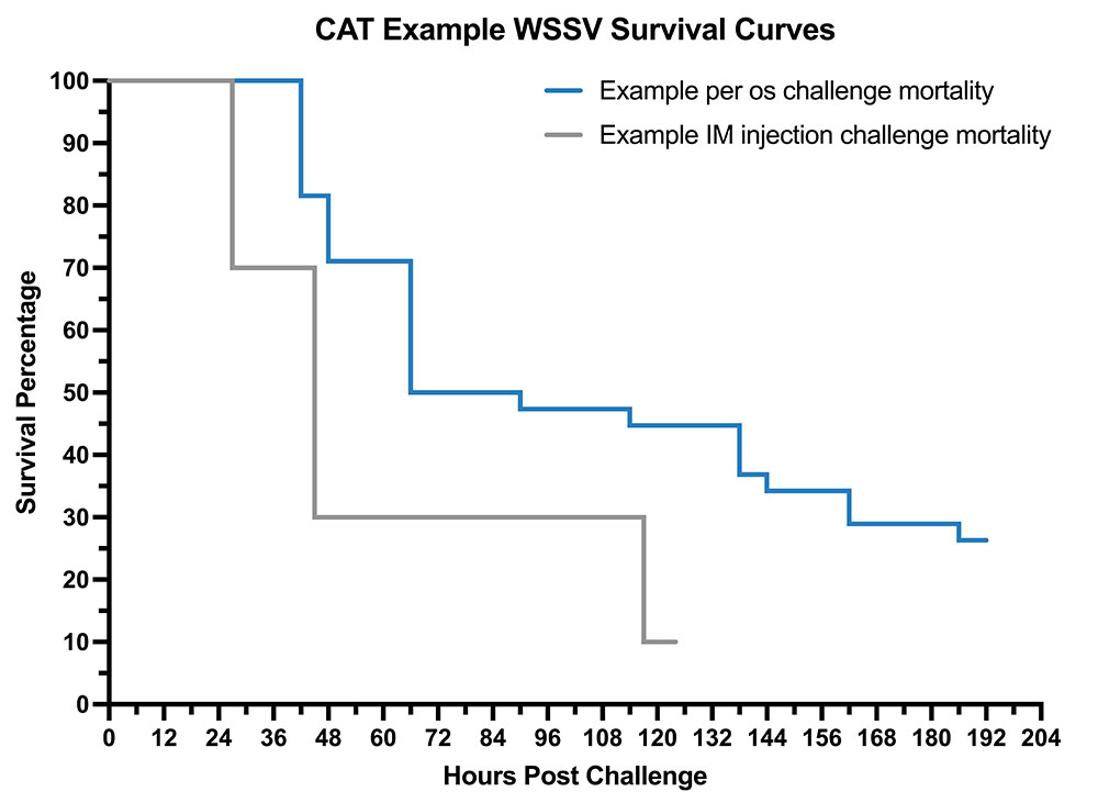 Typical survival curves when WSSV infection is induced via intramuscular (IM) injection, or per os with positive tissue. 