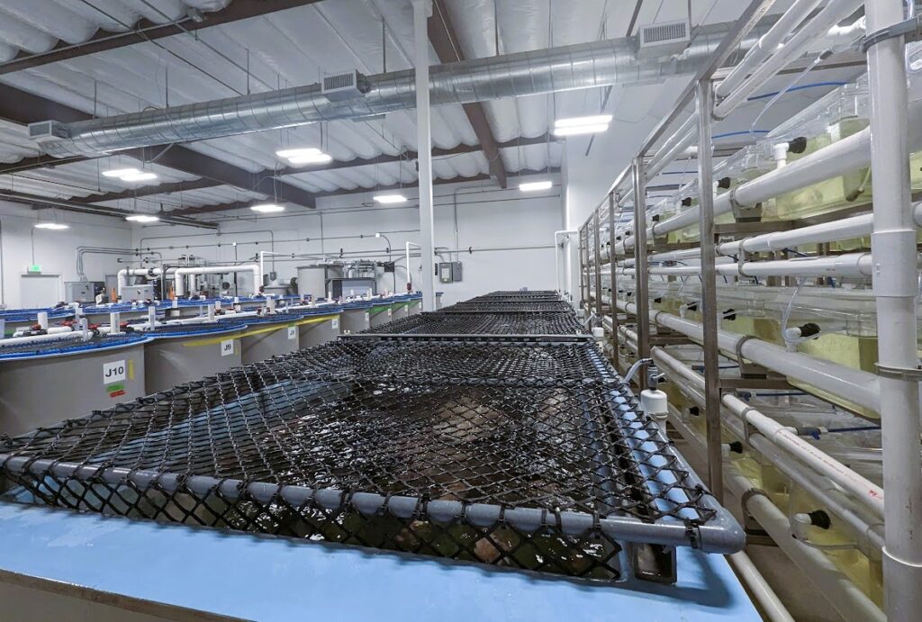 CAT opens aquaculture research center committed to advancing genome editing technologies for aquaculture applications in finfish