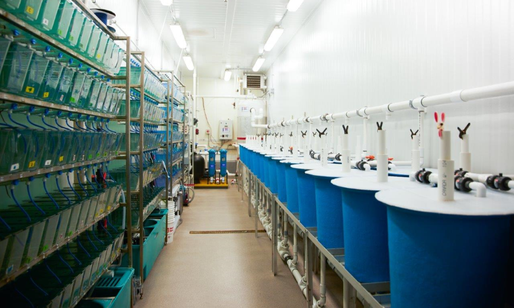 THE CENTER FOR AQUACULTURE TECHNOLOGIES CANADA (CATC) RECEIVES BOTH GLP AND GMP RECOGNITION