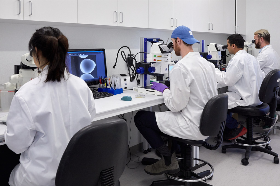 Accelerating Genetic Gain: Why Germ Cell Transfer Is Capturing Industry Attention