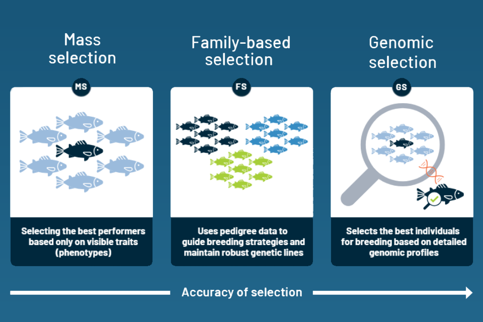 Maximise Genetic Gain: Choosing the Right Breeding Program