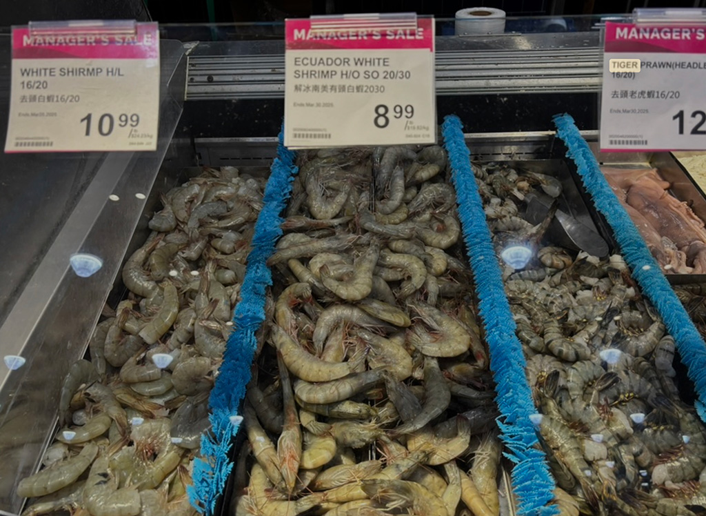 Ecuador White Shrimp